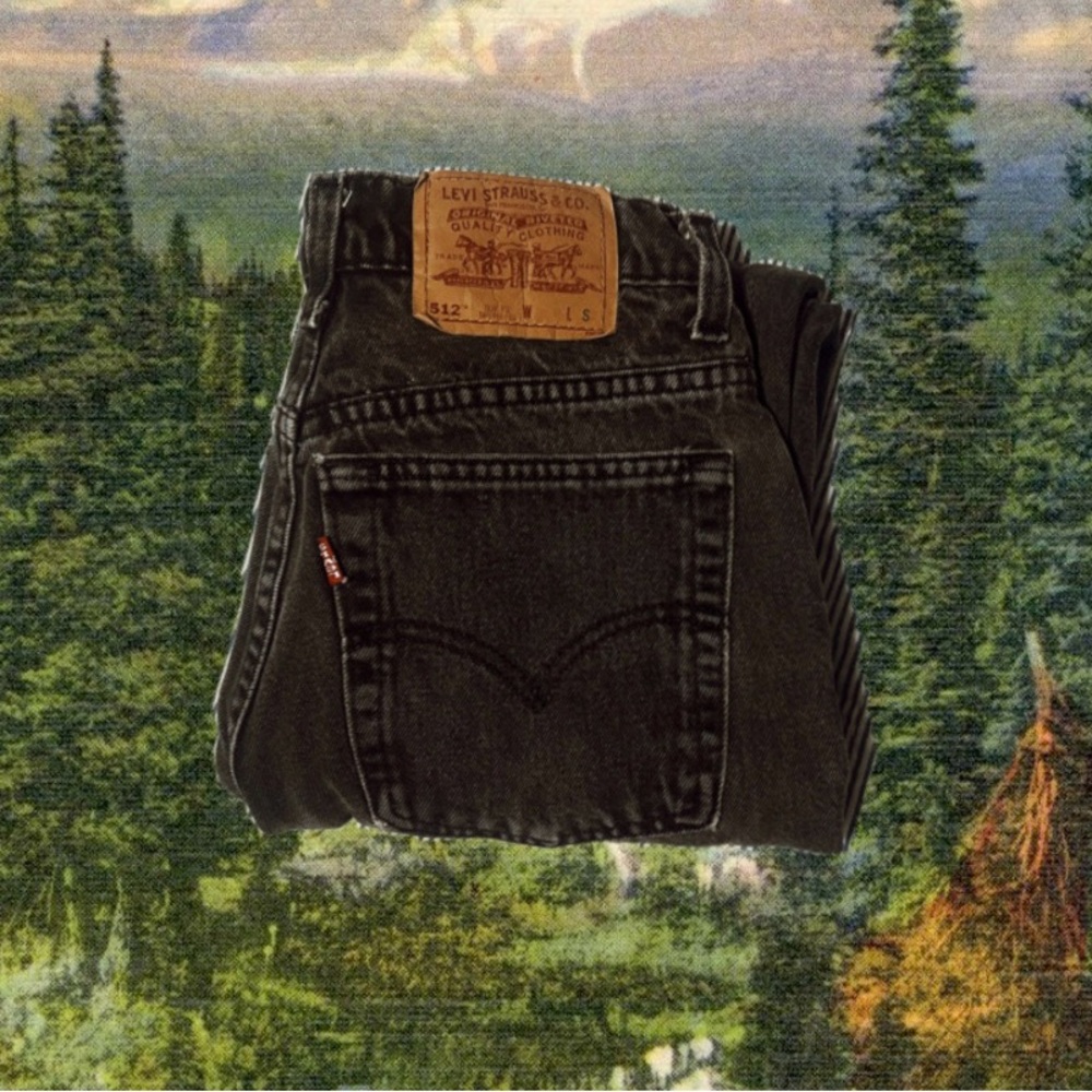LEVIS * read description *